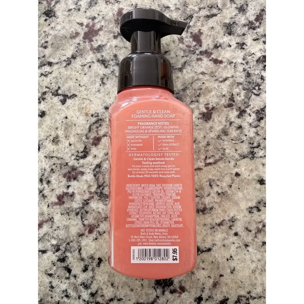 Bath & Body Works CHASING DAYDREAM Gentle & Clean Foaming Hand Soap 8.75 floz